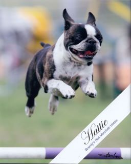 Hattie Jump