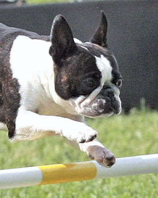 Lucy Jumping