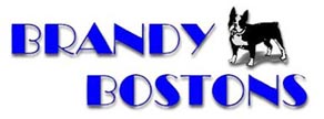 Brandy Bostons