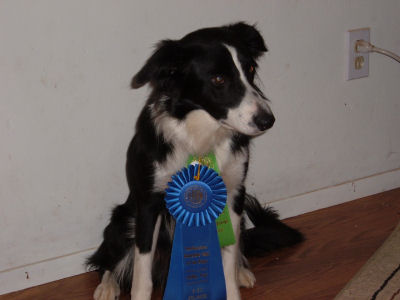 Rush - 1st Blue Ribbon